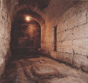 sotterranei-2colosseo