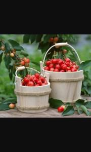 10314669_1404582016517311_7958699313858479337_n