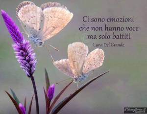 10361031_1407836649525181_4720004326034451724_n