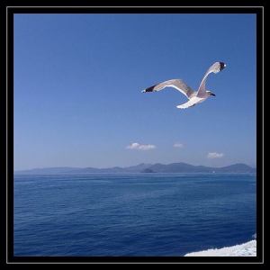 10421311_10206316326214574_997591421967298456_n