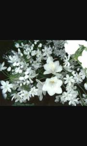 10433126_1404818156493697_2766260705960913084_n