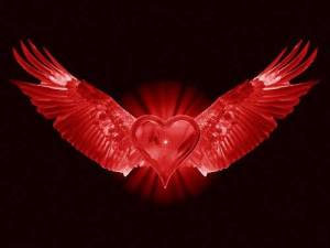 10959334_10205429444443084_2031928683541384467_n