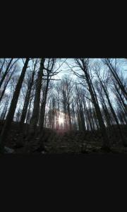 10959502_1392160054426174_1636631345629147735_n