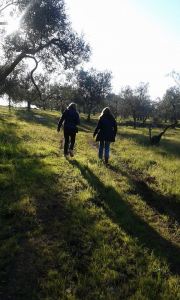 10985364_1399155447059968_9023532004496197317_n