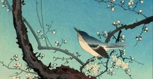 10991325_1402267150082131_4705874912551868119_n