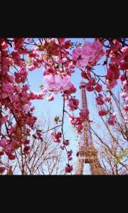 11008399_1398742427101270_3929152836206212391_n