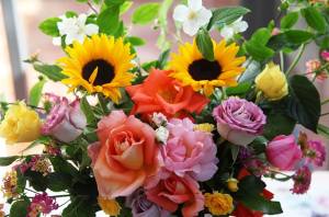 11034315_10205601991316648_4409209367409157777_n