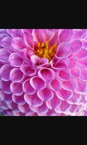 11044551_1405588646416648_4560045816445540333_n