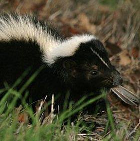 11046561_10205900240372688_5821318612473143515_n