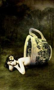 11057271_1456884547953724_8631700767439753491_n