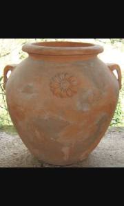 11061989_1409849695990543_5119127054010198349_n