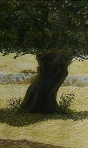 11063766_1413406138968232_8184687841044074658_n