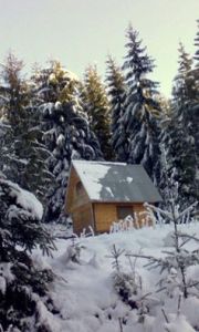 11071663_1410156402626539_2388051916308998547_n