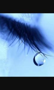 11081329_1412537352388444_2864017597691194121_n