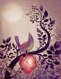 11156136_1420409504934562_3804479116889326525_n (1)