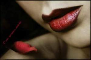 11181869_1471234356518743_6987987508348366359_n