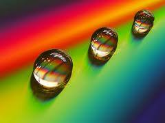 11188460_10205937531544944_4687942546596139772_n