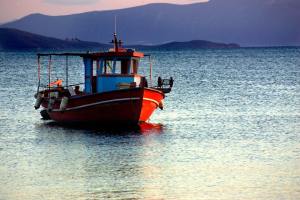 11193264_10205990016417033_6994140974446912176_n