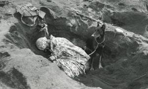 11193303_10205985582946199_137795050044877447_n