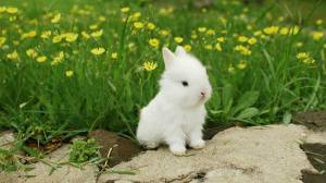 11205589_10206207826142140_3448501161649728653_n