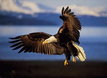 11209497_10207169283537974_6485725693860310012_n