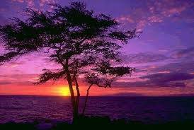 11265102_10206343910384161_4000787366518502457_n