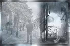 11295630_10206163009621755_6278538748858782141_n