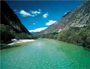 11350447_10206412256292766_3560219120414240690_n