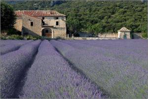 11406826_10206275144865066_3275697138091958119_n