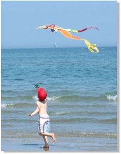 11667263_10206494777195737_1433052294036255852_n