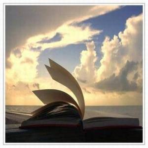 11693820_10206457772710648_193645364807334406_n