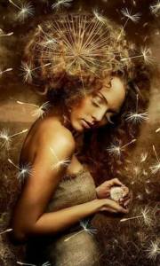 11781634_1457848017857377_3011649238119006562_n