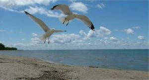 11863390_10206741228196858_6617964442282940889_n