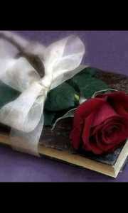 11951345_1451992835109562_2901375341612030504_n