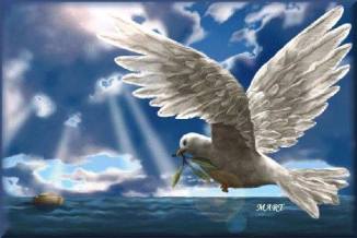 12002138_10207069371560237_361254787774735995_n