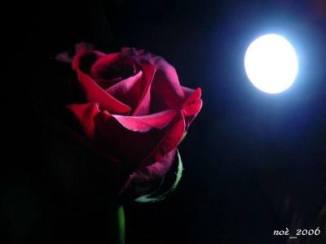 12006116_10206994831056771_5519716299588758734_n