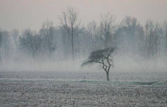 12006125_10207033787910668_6431249083617230548_n