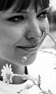 12011129_1462479320727580_7443846212750800394_n