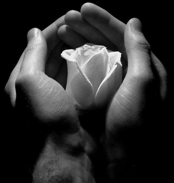 12019846_10207097269057657_1755965672037972222_n