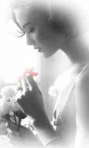 12038429_1464989223809923_5565011960094406520_n