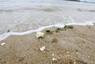 12043175_10207244336574253_2195509911596446075_n