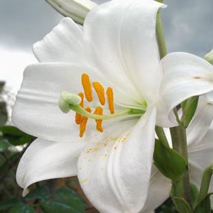 12063598_10207092689103161_4764411271929895941_n