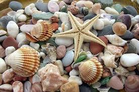 13197_378601065660588_5039305038921263016_n