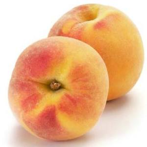 1972466_10206377351220161_2050185854830068446_n