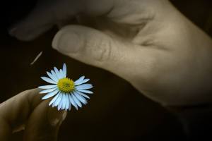 10408002_10203567913791240_1024743908706808476_n