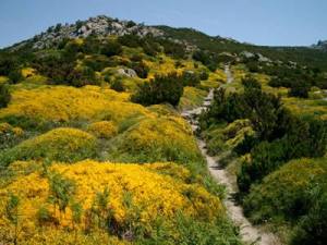 10984104_367566930097335_1905514469478825816_n