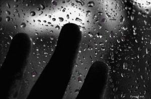 10988924_10203263391658377_6562860242072631432_n