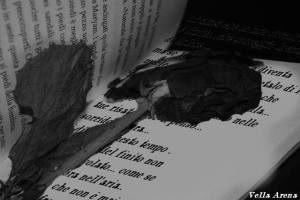 11025994_10203316100856074_8425078456652046517_n