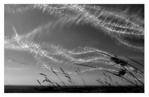 11046525_10203355670165282_1331734628494148161_n