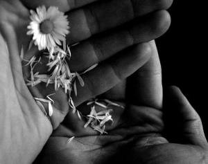 11156358_10203555311876200_7179340930563546460_n